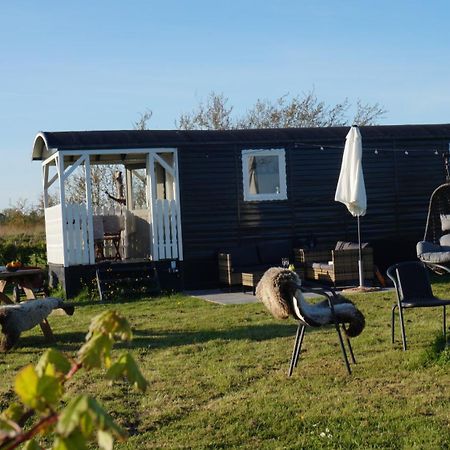 Bed And Breakfast Het Schapenlandje Waarland エクステリア 写真